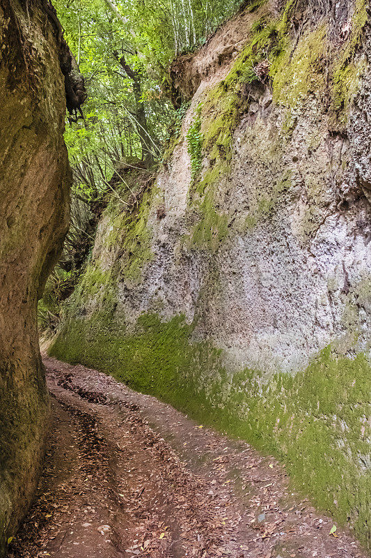 皮蒂利亚诺托斯卡纳的Vie Cave